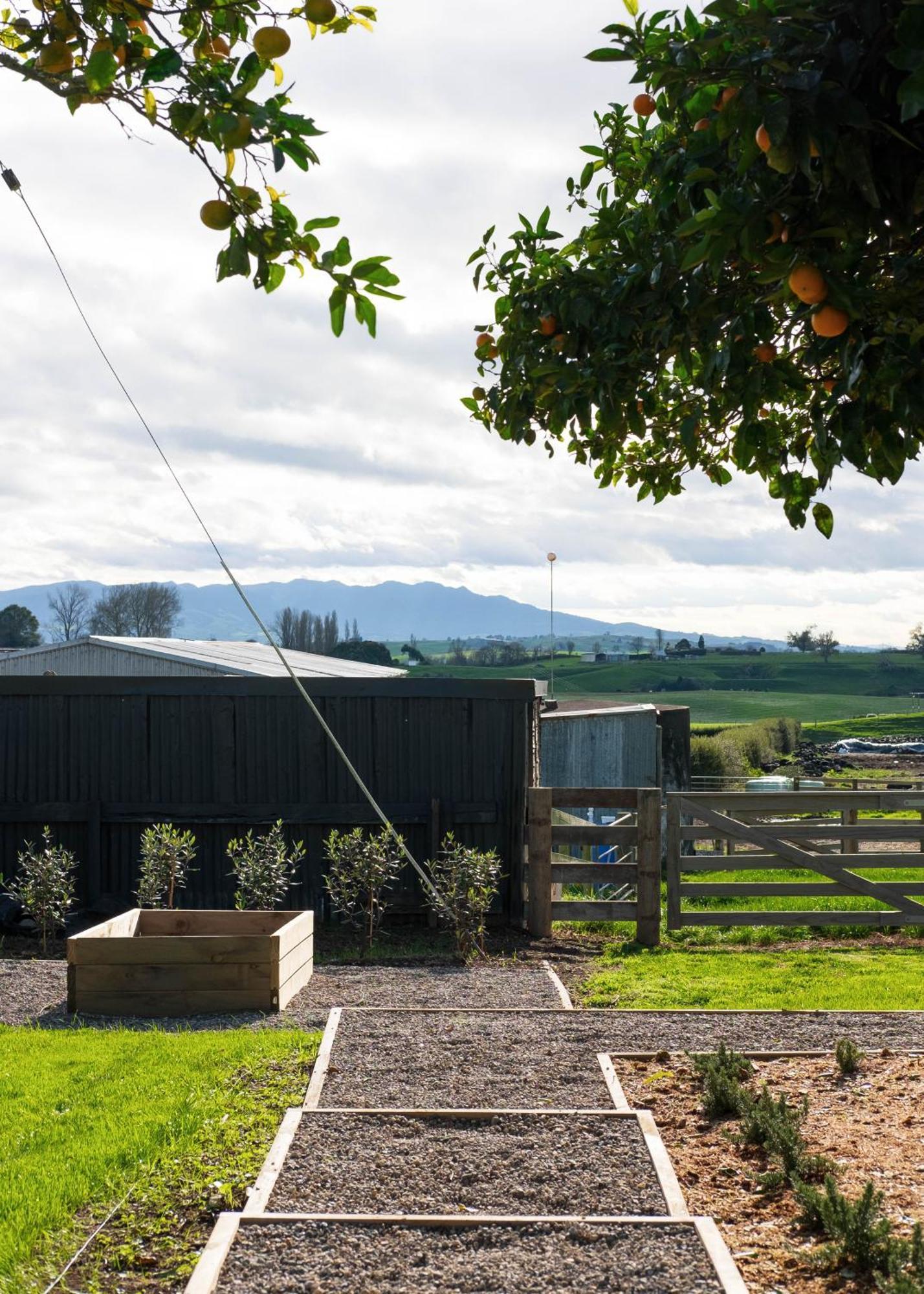Willow View Cottage - Beautiful Farm Views Close To Waitomo Otorohanga Bagian luar foto